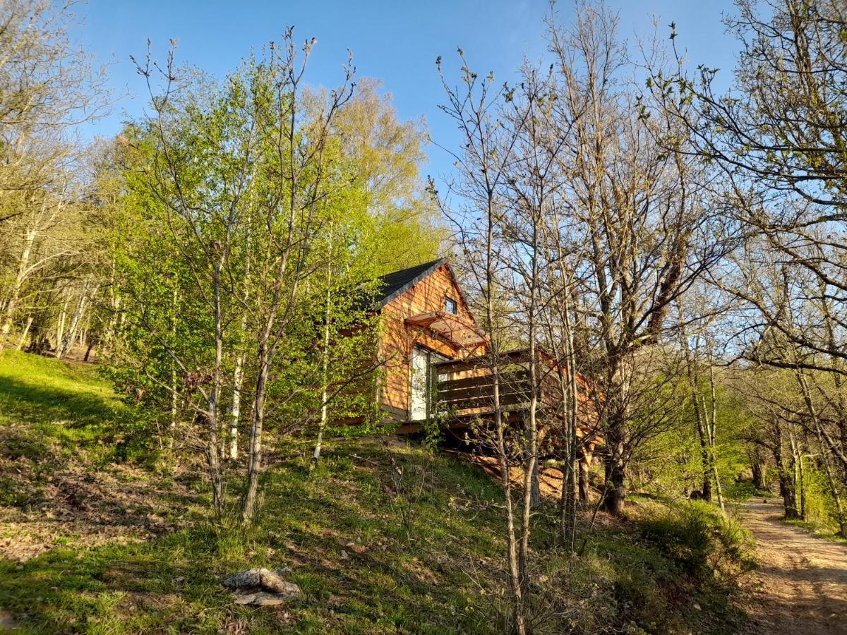Mon Chalet Au Coeur Des Cevennes Vebron Dış mekan fotoğraf